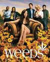 Weeds